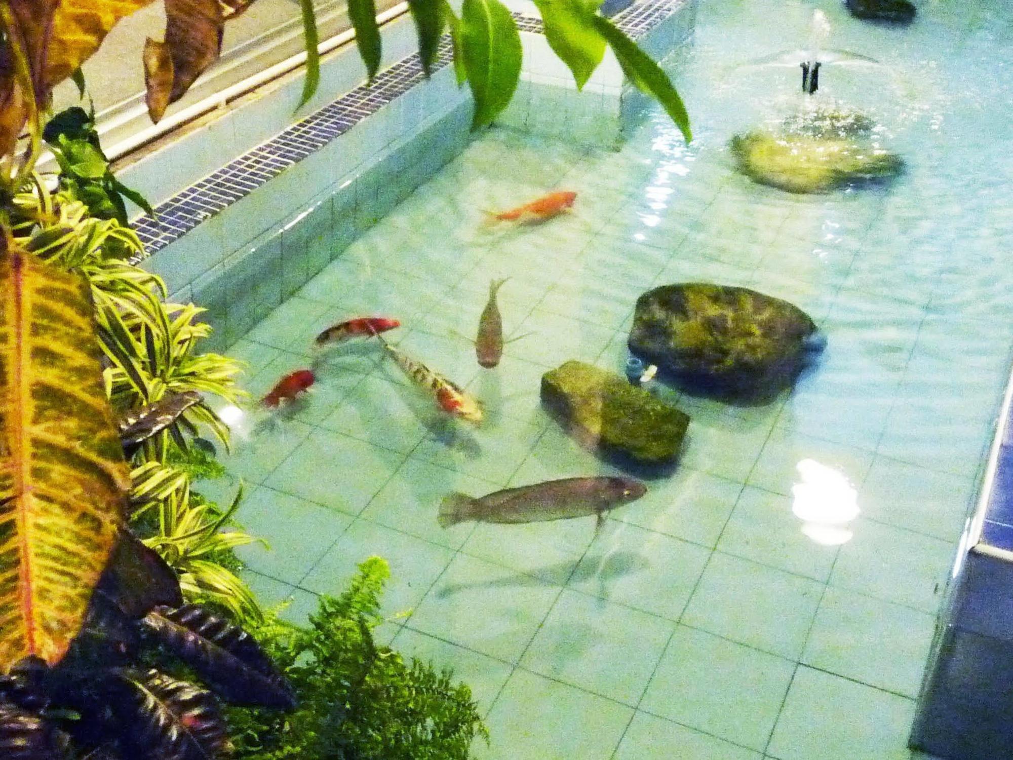 Hatyai Greenview Hotel Hat Yai Luaran gambar